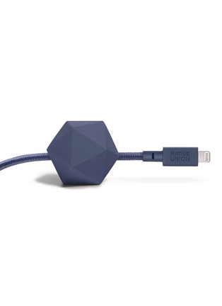 Detail View - Click To Enlarge - NATIVE UNION - ANCHOR Lightning charging cable