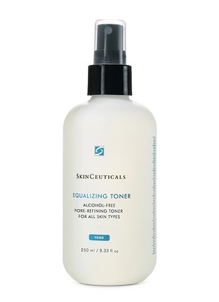 Main View - Click To Enlarge - SKINCEUTICALS - Equalizing Toner 250ml