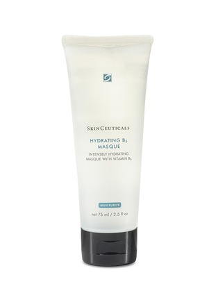 Main View - Click To Enlarge - SKINCEUTICALS - Hydrating B5 Masque 75ml