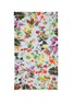 Main View - Click To Enlarge - FALIERO SARTI - 'Fruttina' floral stripe print cotton-silk scarf