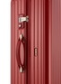 Detail View - Click To Enlarge -  - Salsa Deluxe Multiwheel® (Oriental Red, 87-litre)