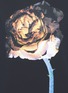 Detail View - Click To Enlarge - ACNE STUDIOS - 'Yana' oversized floral print sweatshirt