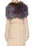 Main View - Click To Enlarge - HOCKLEY - Feather fox fur shoulder wrap