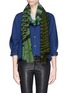Figure View - Click To Enlarge - ARMAND DIRADOURIAN - Ombré irregular stripes cashmere wool scarf