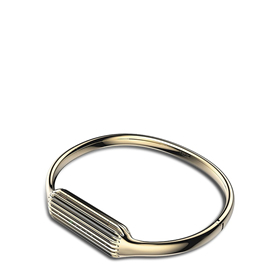 FITBIT FLEX 2 ACTIVITY ACCESSORY BANGLE — SMALL
